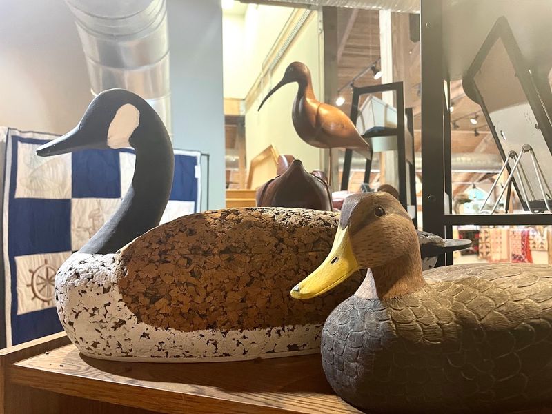 When Wood Becomes Wildlife When Wood Becomes Wildlife