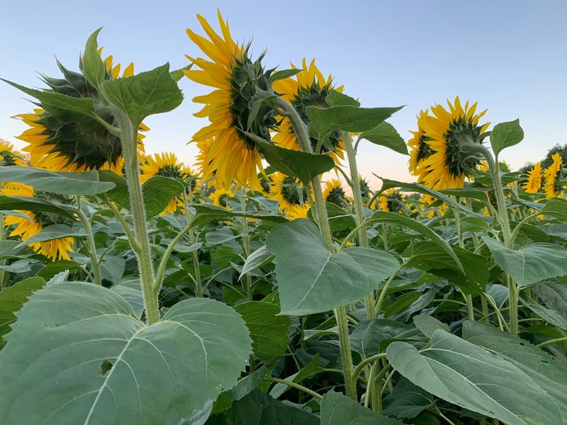 Photography Tips That Will Change Your Shot