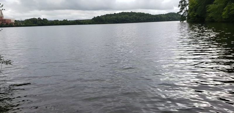 Why This Quiet Escape Feels Like A Secret World