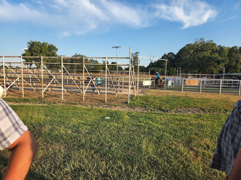 Evenings Built Around Music And Familiar Faces