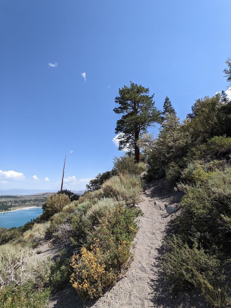 Earning Every Single Stunning Step