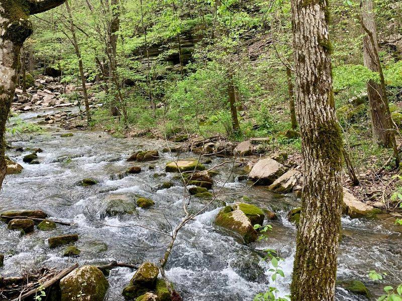 Where Cold Spring Water Meets Stone