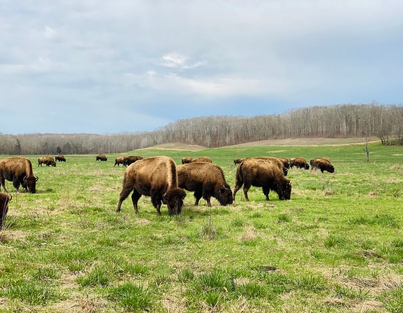 170,000 Acres Of Pure Exhale