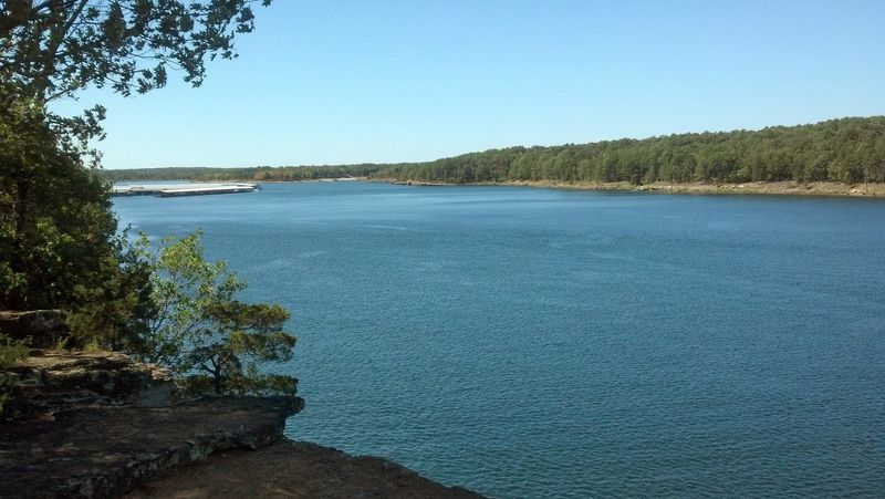 A Lakeshore Morning Wrapped In Mist And Birdsong