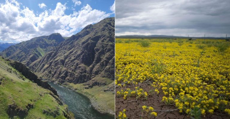 Where Curious Travelers Go When They Want A Different Side Of Oregon