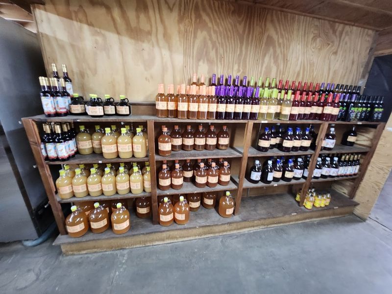 Where Every Jar Tells A Story Where Every Jar Tells A Story