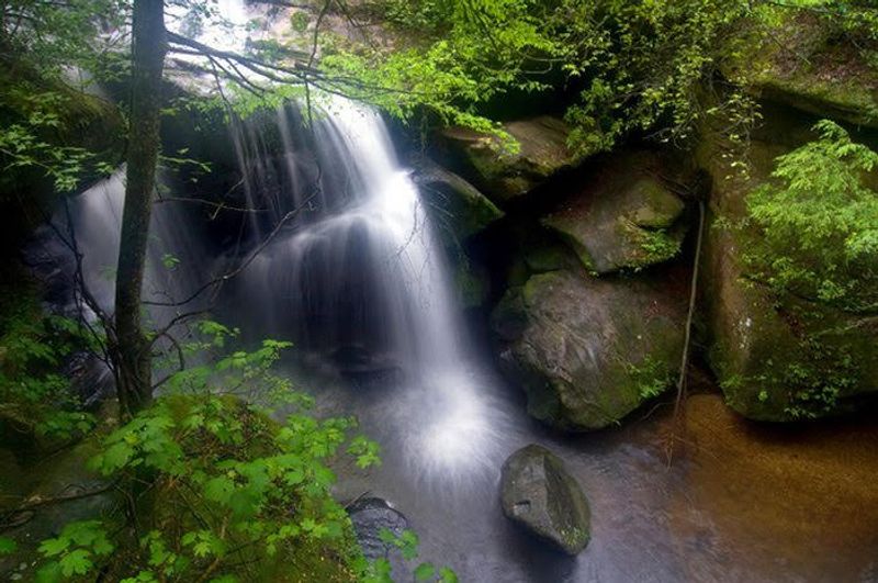 Small But Absolutely Mighty