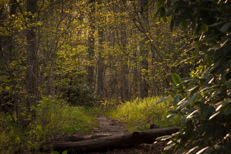 The Hike That Starts Right There