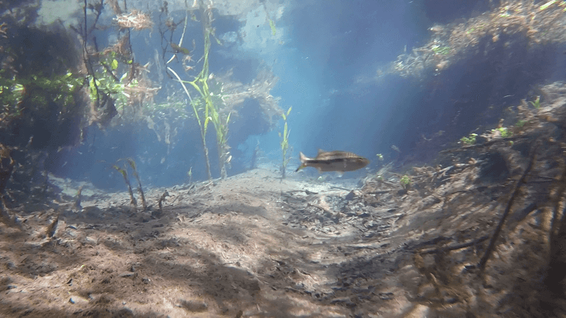 The Water Temperature That Takes Your Breath Away