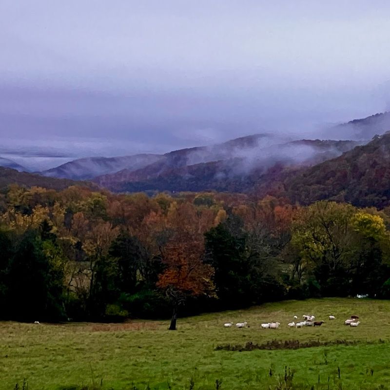  The Full Picture Of Frontier Life