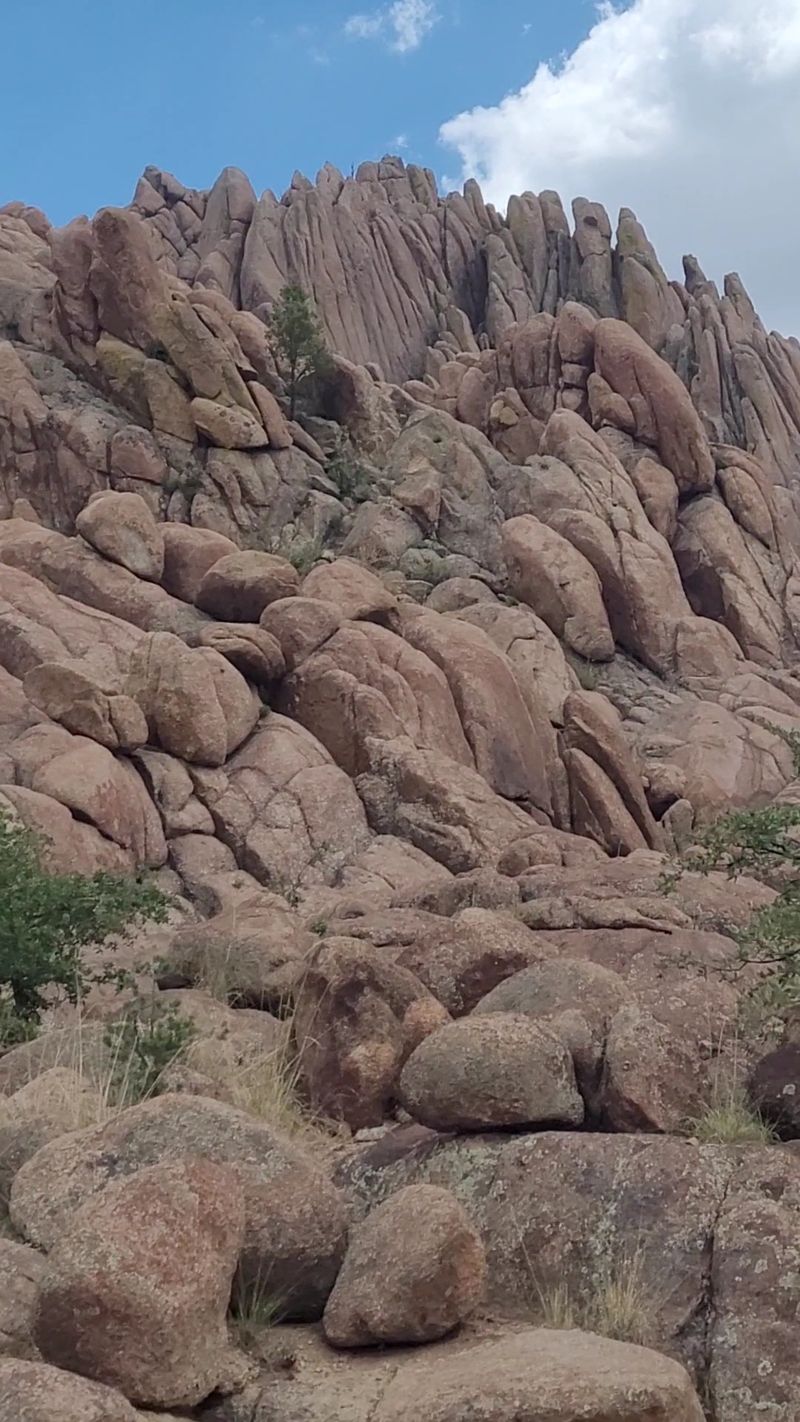 Where Forest Meets the Granite Dells