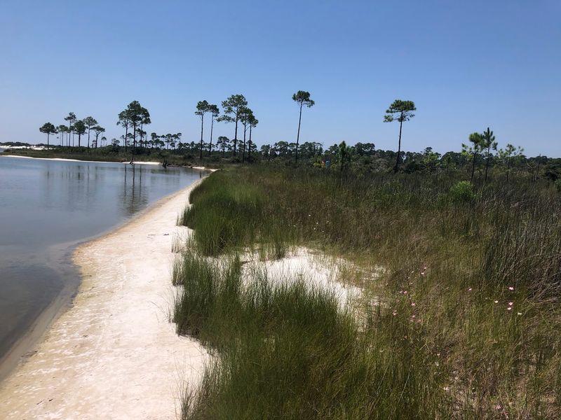  Where Freshwater Meets The Wild