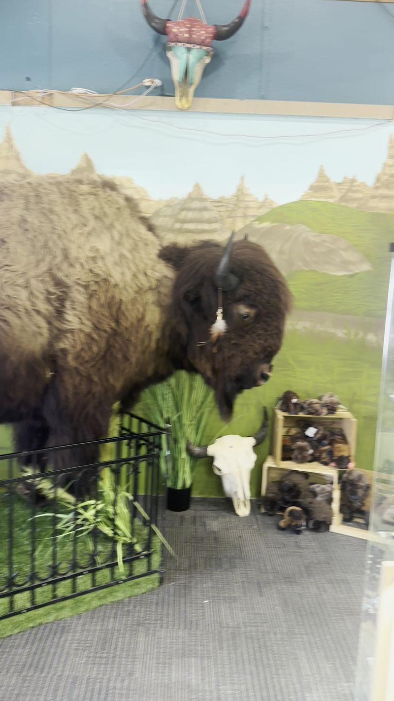 Where Giant Dinosaurs And Jackalopes Rule