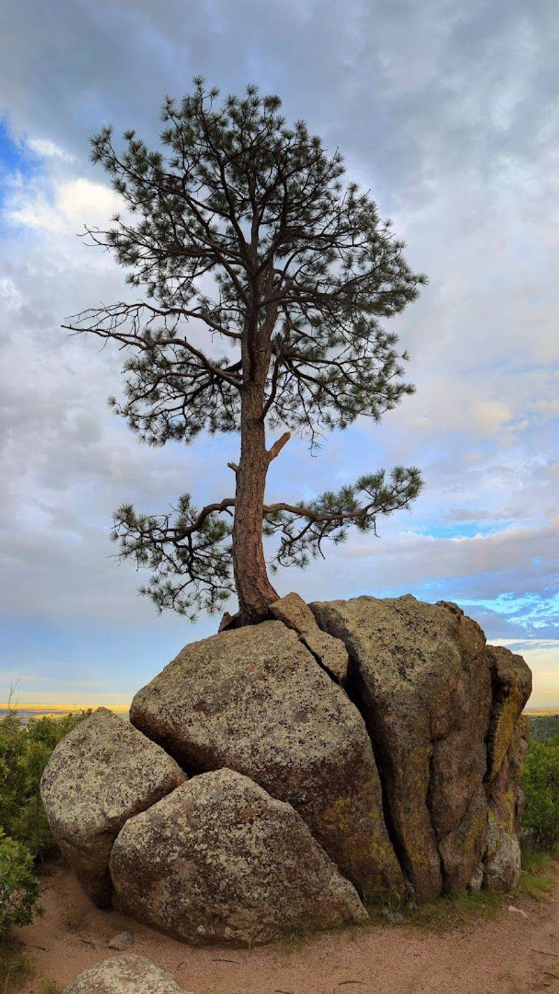 The Green Lung Of Colorado Springs