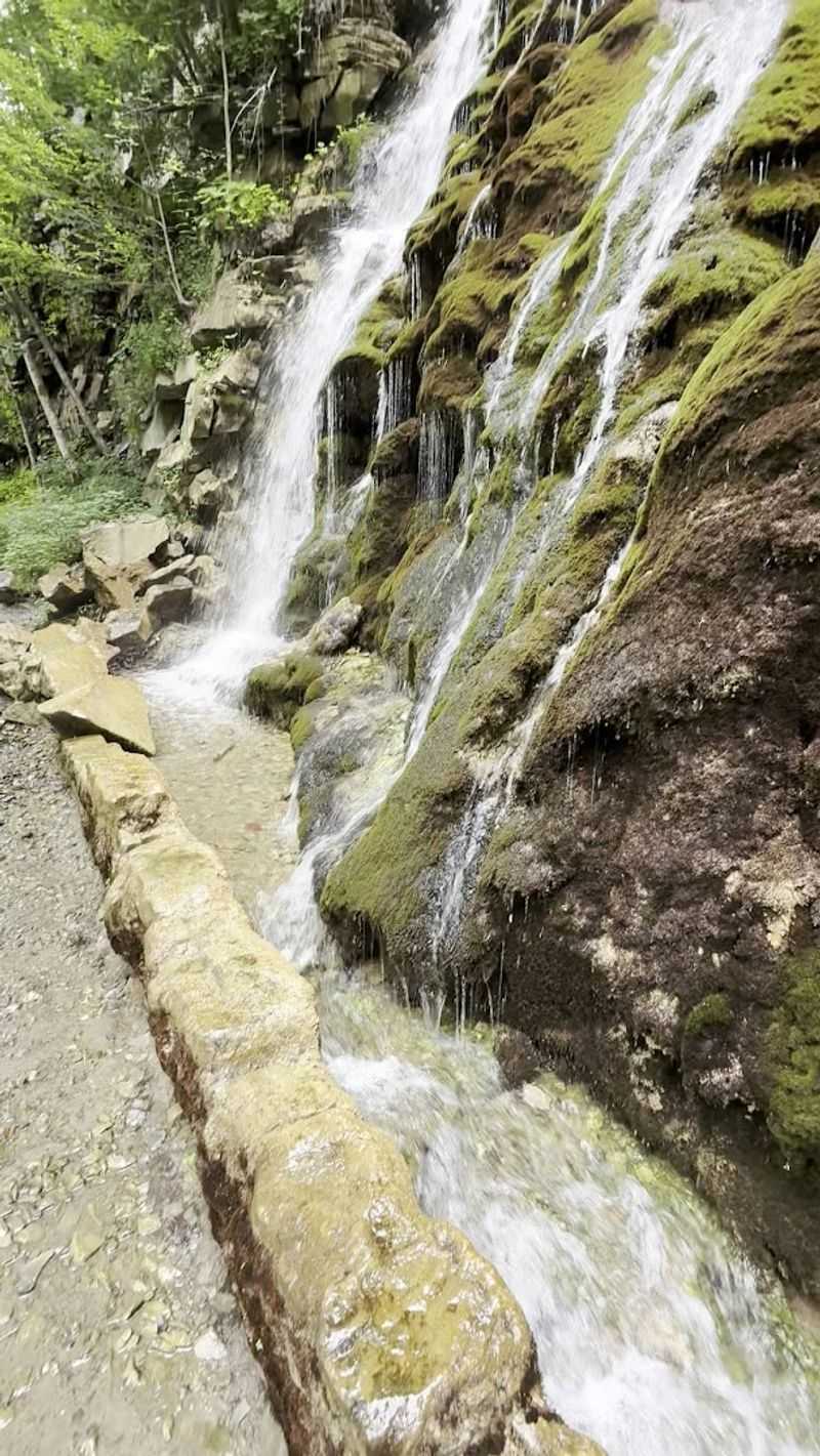 A Hidden Reward You Almost Miss