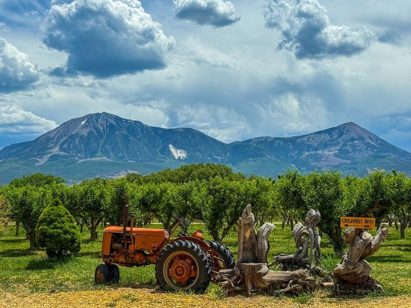 The Orchard Experience That Keeps People Coming Back