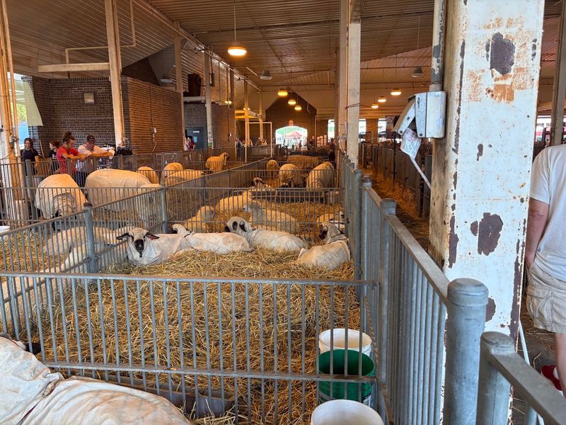 Where Illinois Agriculture Shines