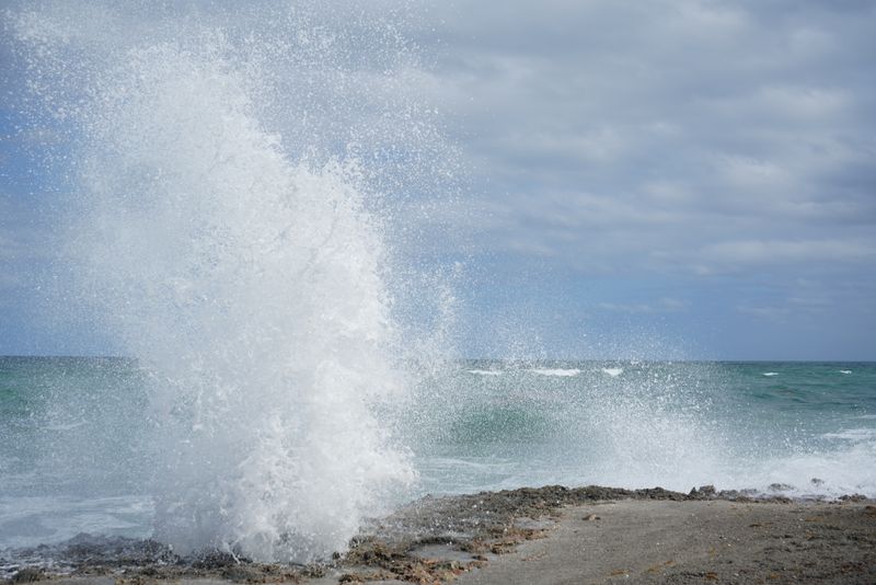 Best Time To See The Blowing Effect