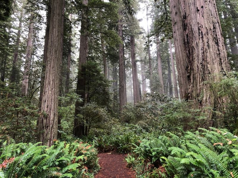 A Walk Through Living History