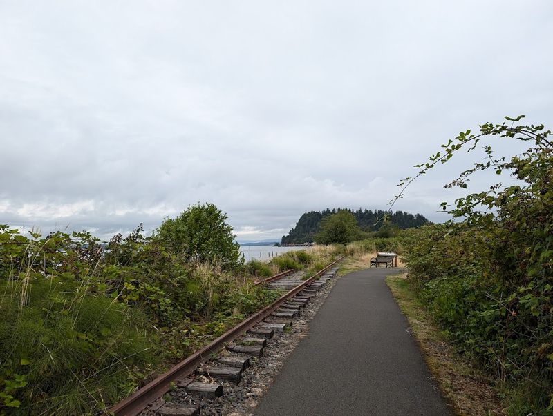 A Waterfront Stroll With Real Personality