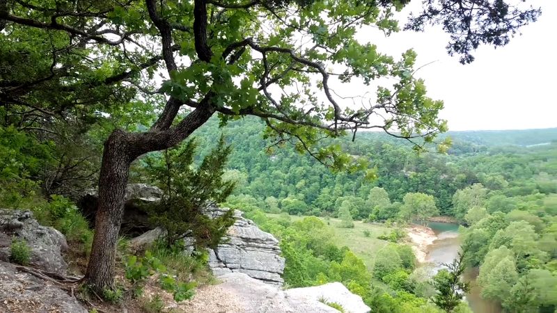 Where Limestone Cliffs Meet Endless Green