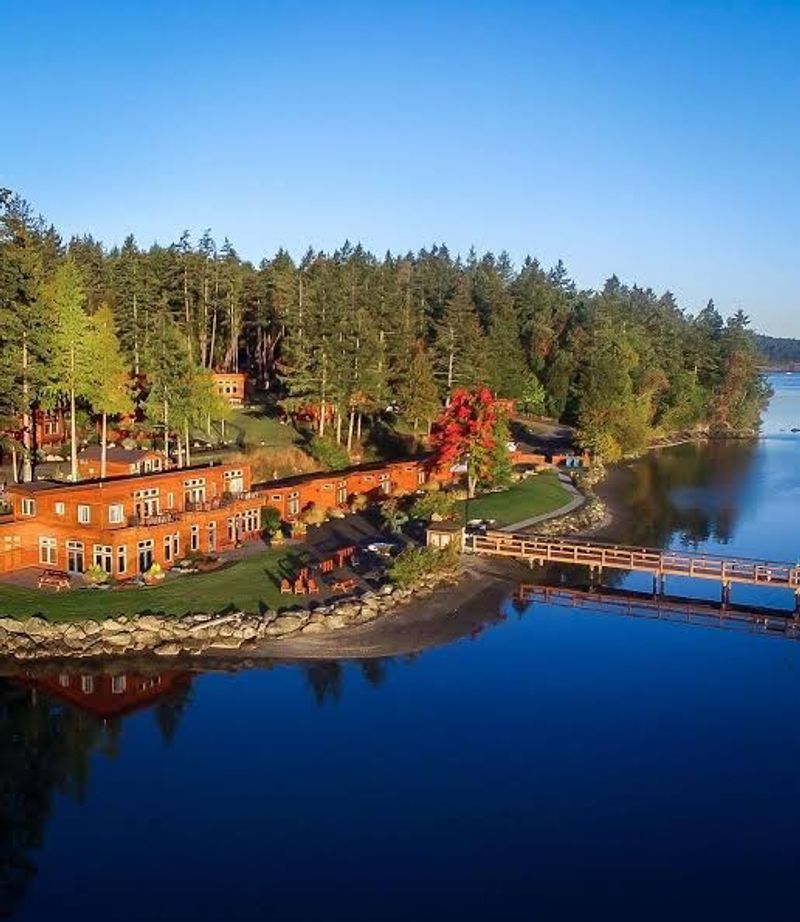 Where Mitchell Bay Meets the Cedar Cabins Where Mitchell Bay Meets the Cedar Cabins