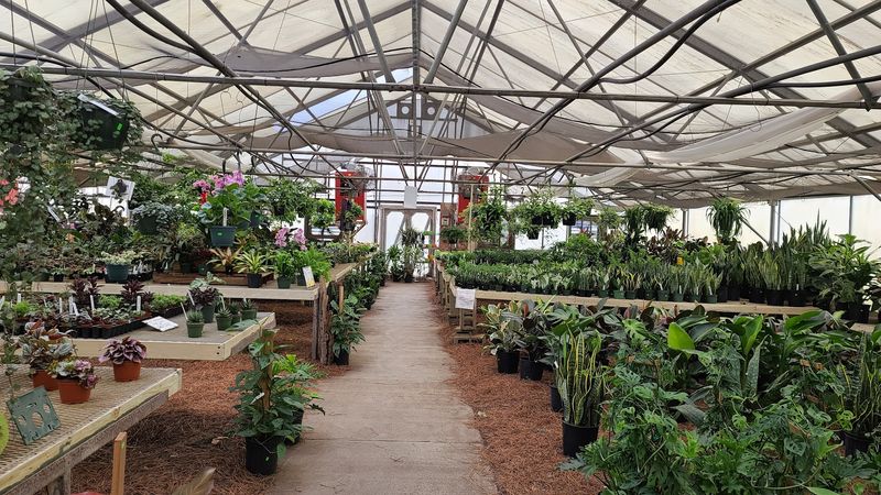 A Greenhouse Collection That Actually Has No Business Being This Good