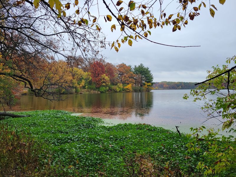 Where Northern Illinois Keeps Its Quiet Escape