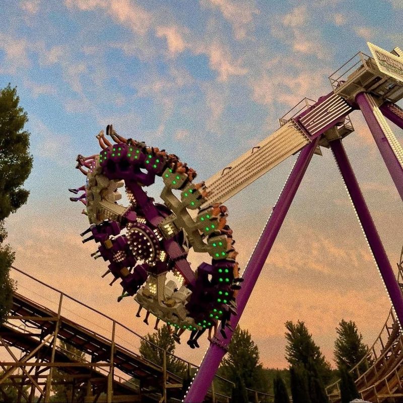 Where Pure Fun Has No Age Limit