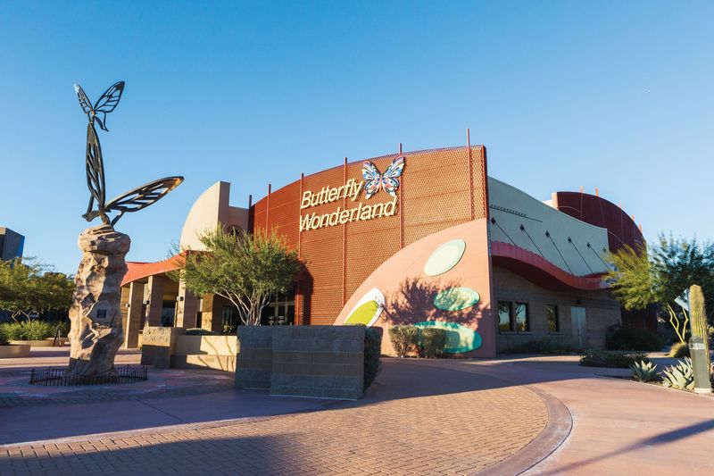 Educational Programs That Inspire Wonder