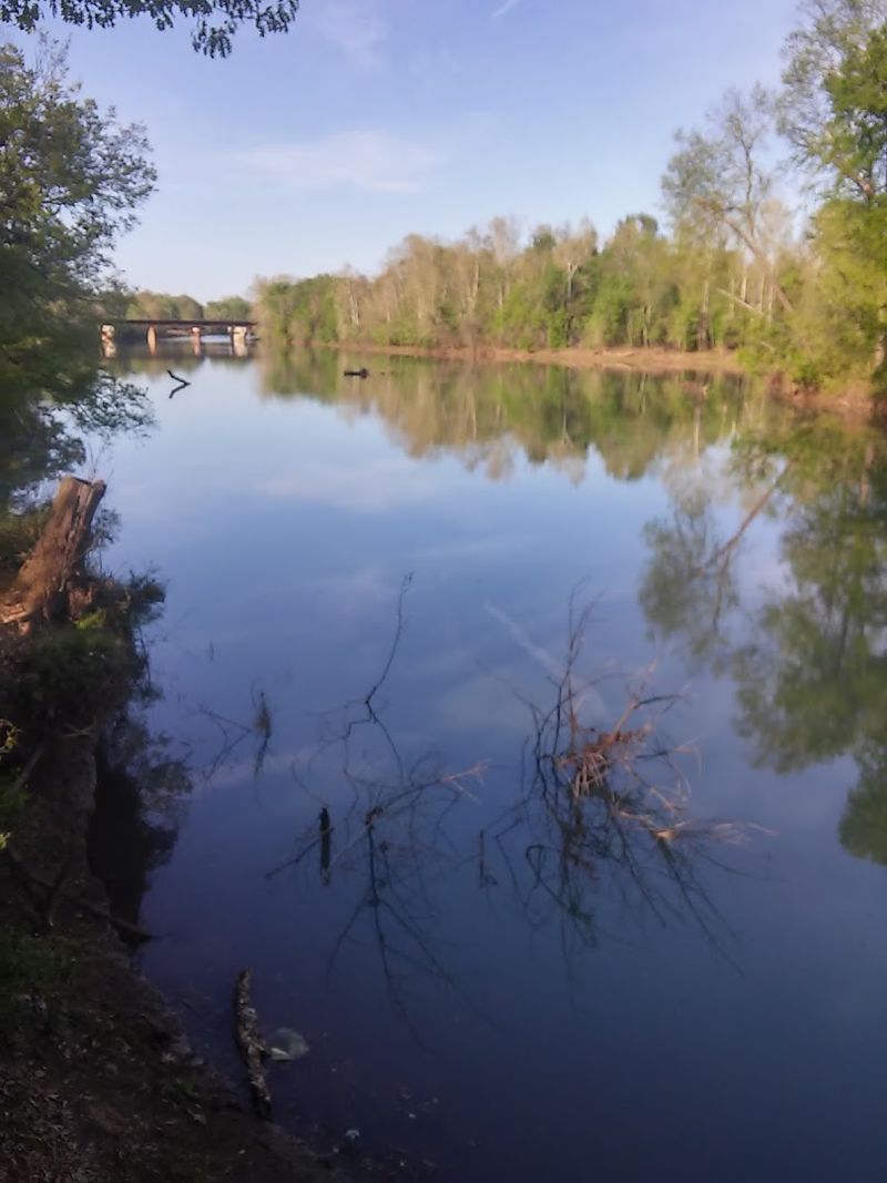 Where River Views Slow Time