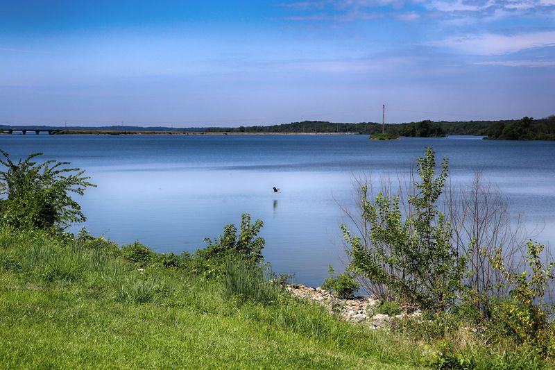 Where Southern Illinois Opens Up Into Open Water