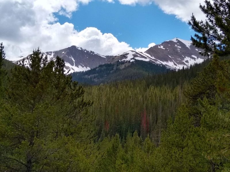 Nature's Own Cathedral