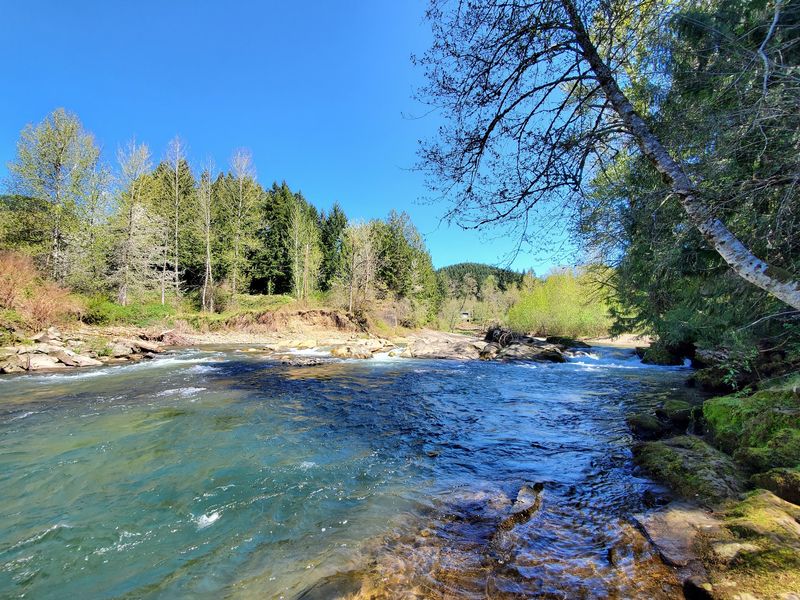 Where The Cascades Meet The Timberland Where The Cascades Meet The Timberland