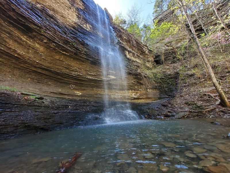 Where The Forest Opens To Falling Water
