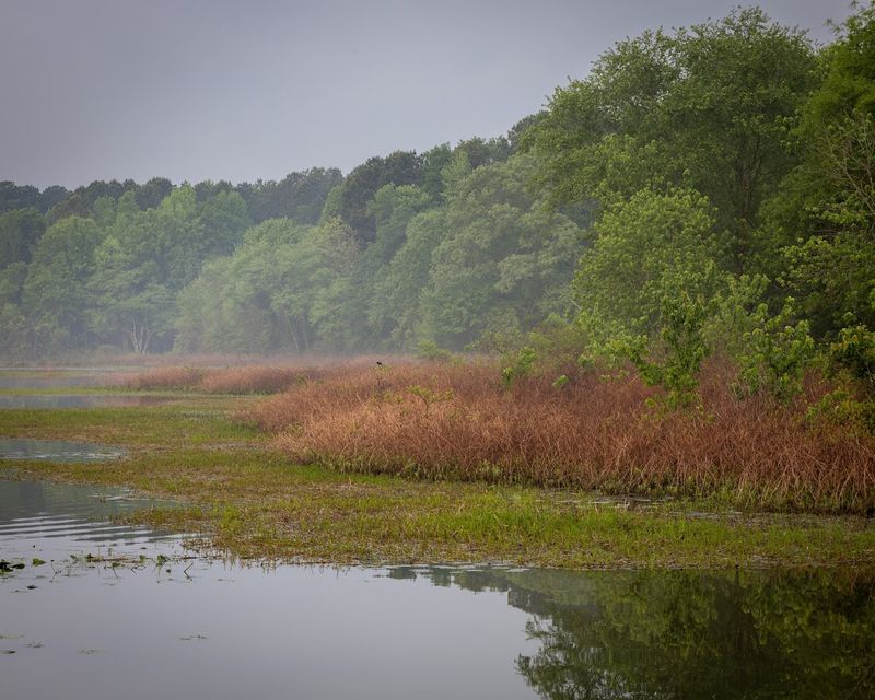 The Best Times Of Year To Visit