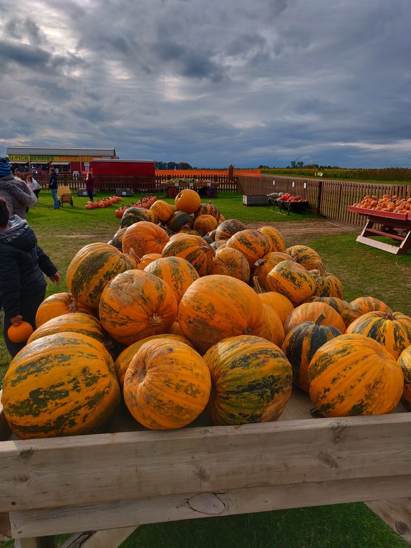 Where The Fun Grows In McHenry