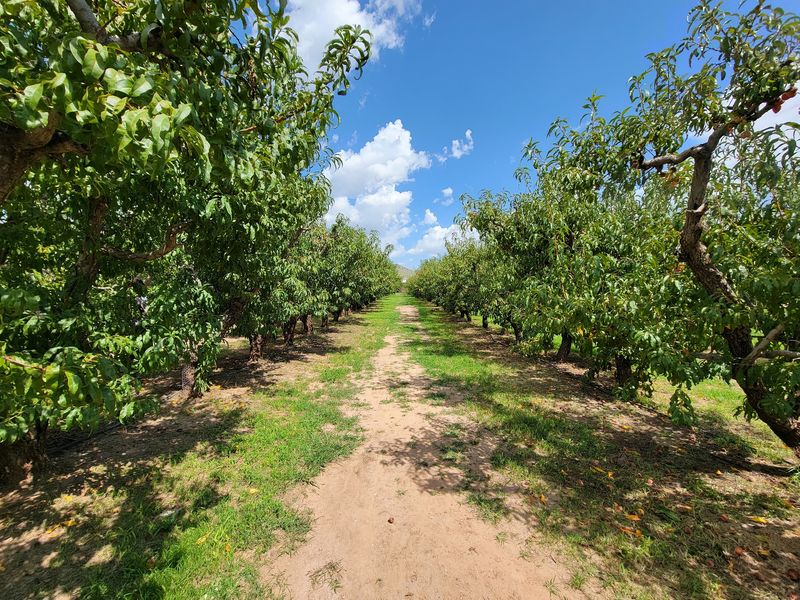 Where The Orchard Sits On The Map