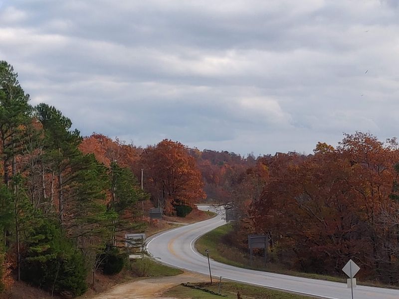 Scenic Drives You’ll Never Forget