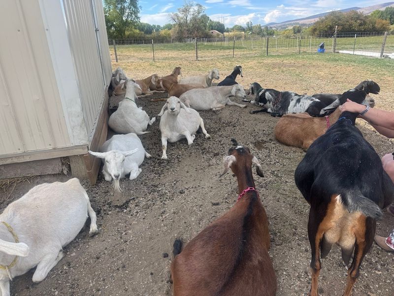 The One Thing You Actually Came For