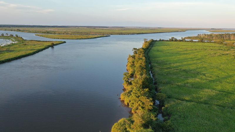 Where The River Meets The Marsh