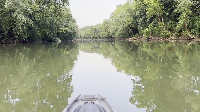 Where The River Slows Everything Down Where The River Slows Everything Down