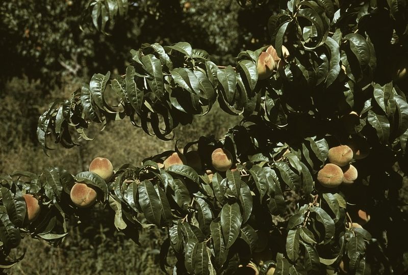 The Simple Promise Of A Place Like This