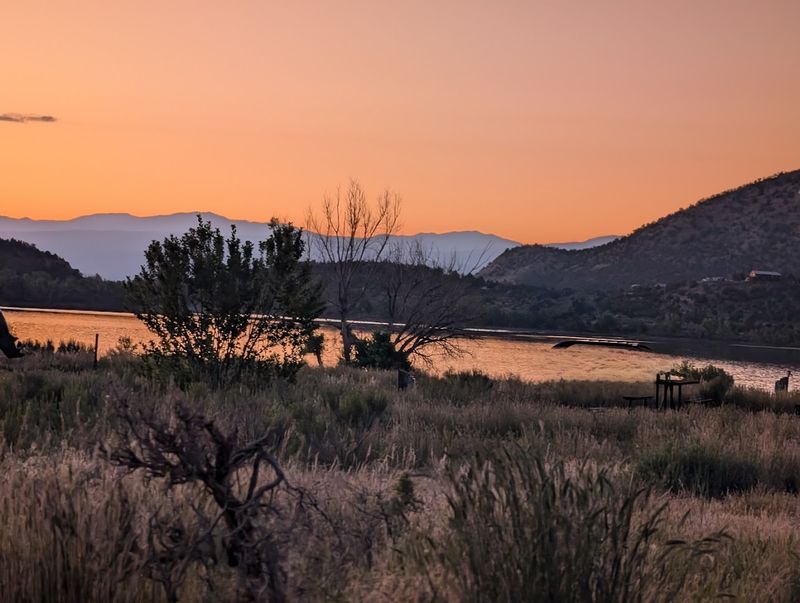 The Local Nod Factor