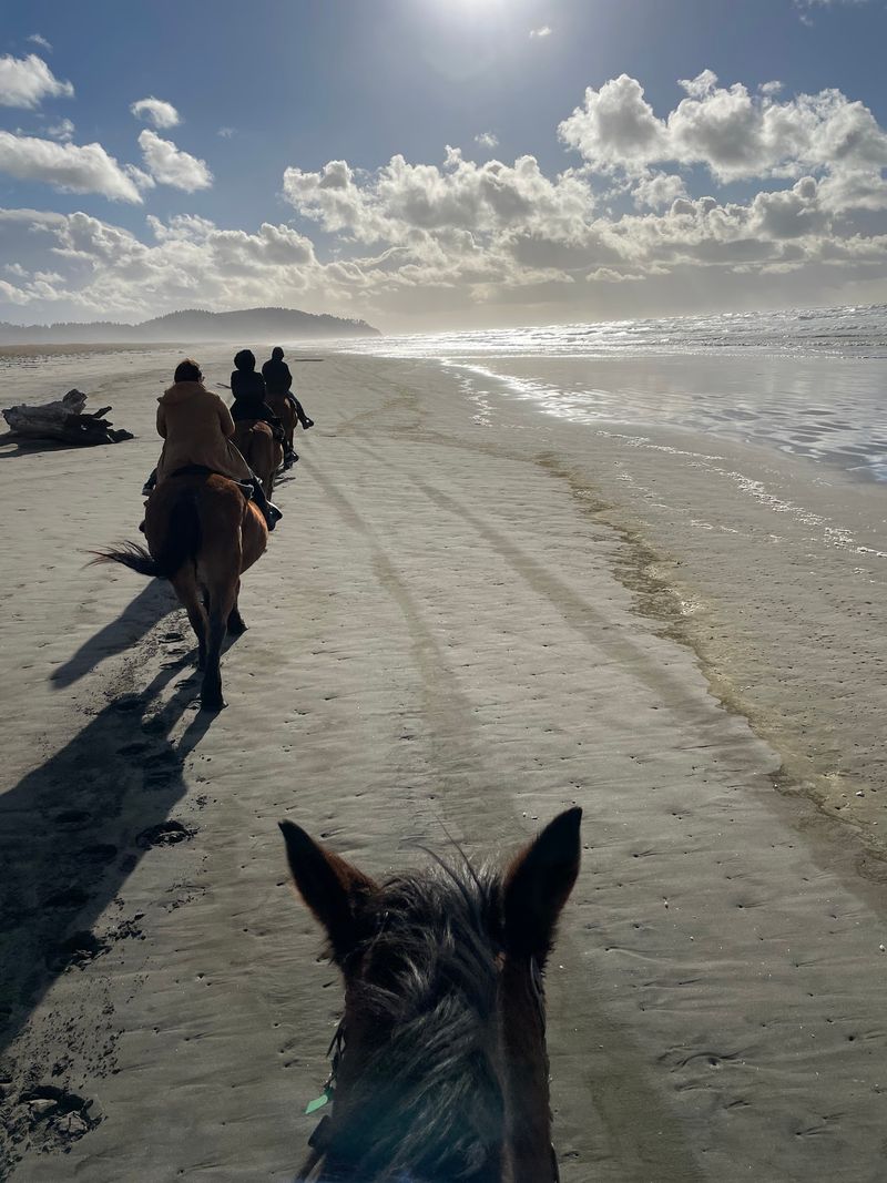 Where The Sand Meets The Saddle