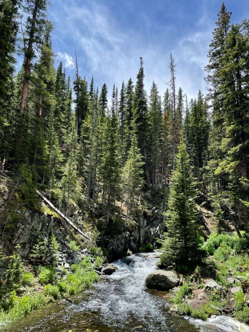 The First Two Miles: Forest Walking With Easy Grades