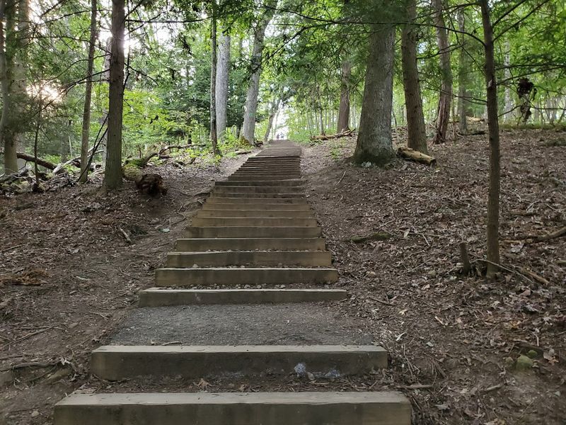 Where The Trail Begins