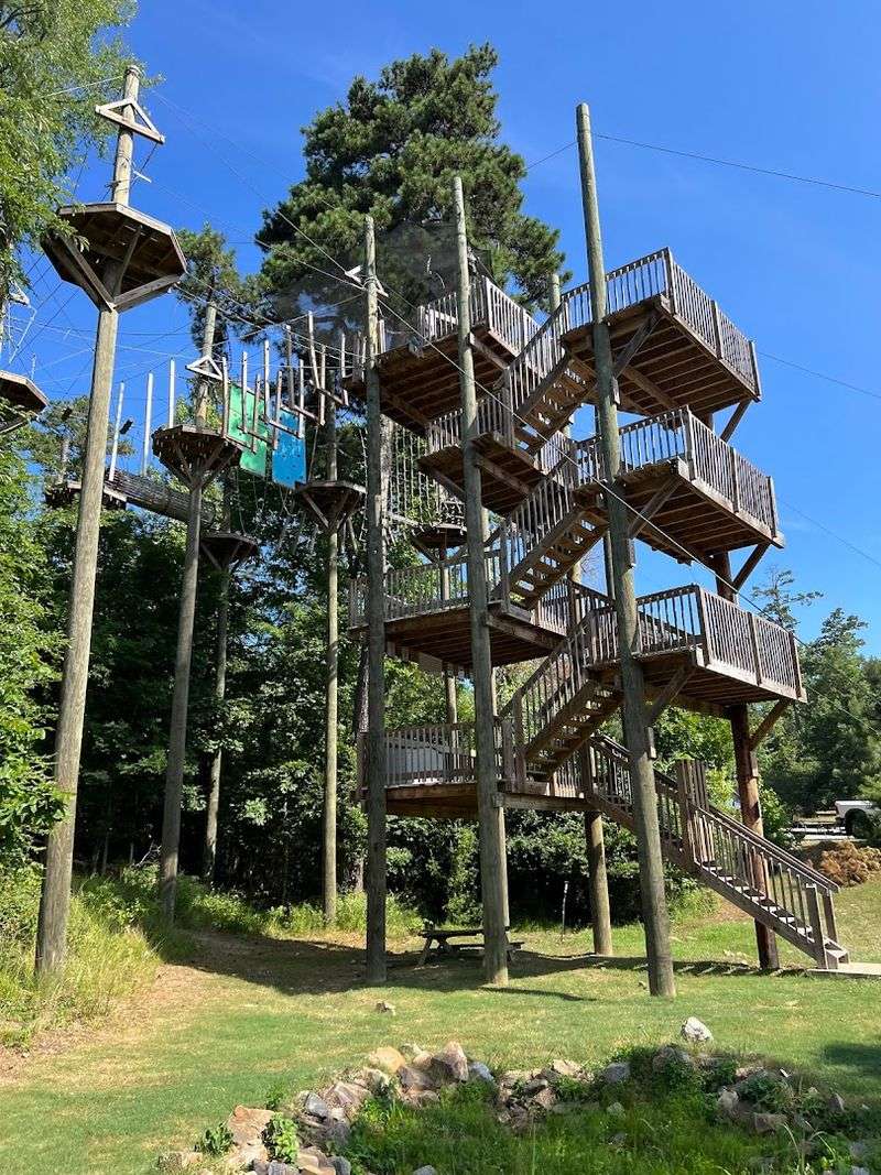 Where The Treetops Turn Into The Main Attraction Where The Treetops Turn Into The Main Attraction