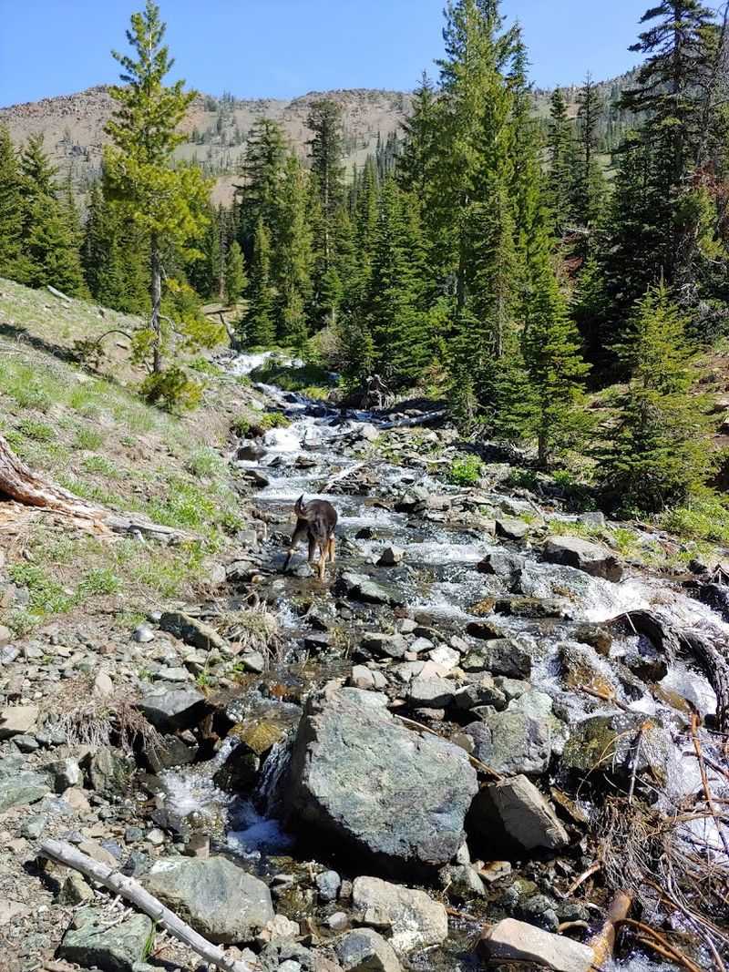 Where The Wenatchee River Sets The Mood