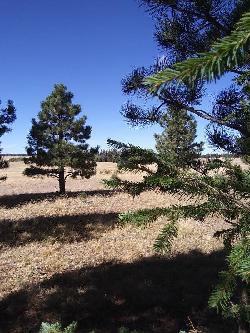 Where This High-Country Trail Sits